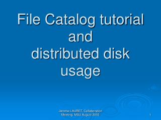 File Catalog tutorial and distributed disk usage