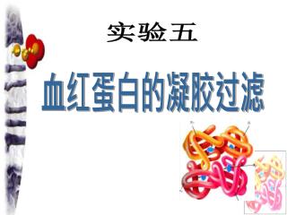 血红蛋白的凝胶过滤