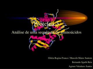 Proteína 5 Análise de uma sequência de aminoácidos Glória Regina Franco / Marcelo Matos Santoro