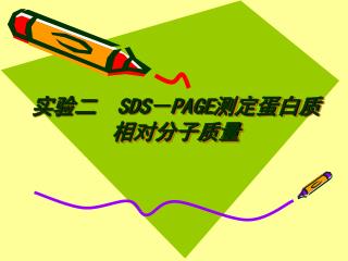 实验二 SDS － PAGE 测定蛋白质 相对分子质量