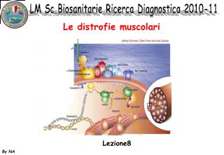 Le distrofie muscolari