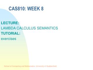 CAS810: WEEK 8