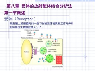 第八章 受体的放射配体结合分析法