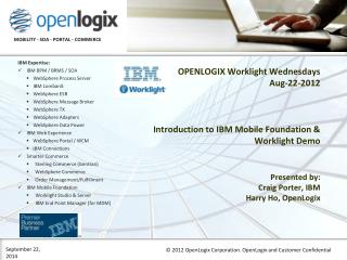 Company Background - OpenLogix