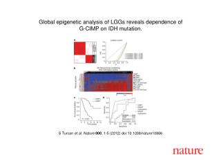 S Turcan et al . Nature 000 , 1 - 5 (2012) doi:10.1038/nature10866