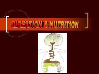 DIGESTION &amp; NUTRITION