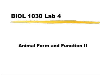 BIOL 1030 Lab 4