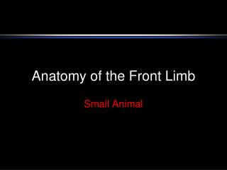 Anatomy of the Front Limb