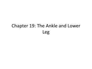 Chapter 19: The Ankle and Lower Leg