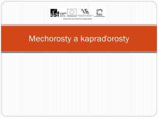 Mechorosty a kapraďorosty