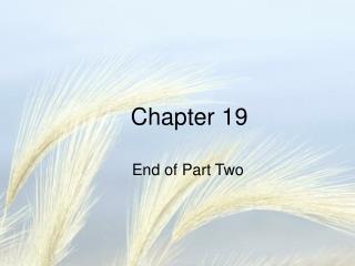 Chapter 19