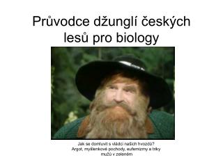 Průvodce džunglí českých lesů pro biology