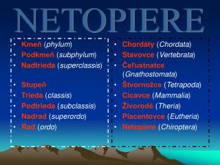 Kmeň ( phylum )	 Podkmeň ( subphylum )	 Nadtrieda ( superclassis )	 Stupeň