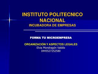 INSTITUTO POLITECNICO NACIONAL INCUBADORA DE EMPRESAS