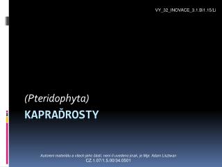 Kapraďrosty