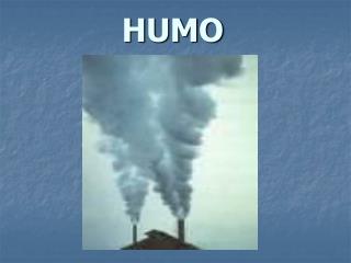 HUMO