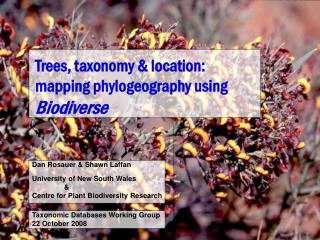 Trees, taxonomy &amp; location: mapping phylogeography using Biodiverse