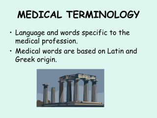 MEDICAL TERMINOLOGY