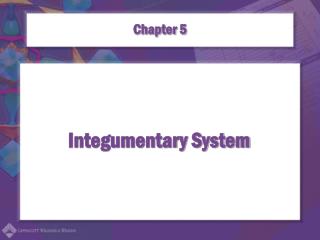 Integumentary System