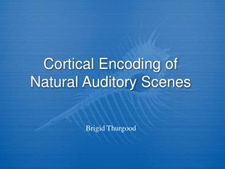 Cortical Encoding of Natural Auditory Scenes