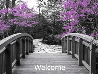 Welcome