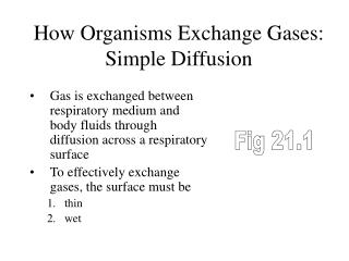 How Organisms Exchange Gases: Simple Diffusion