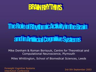 The Role of Rhythmic Activity in the Brain