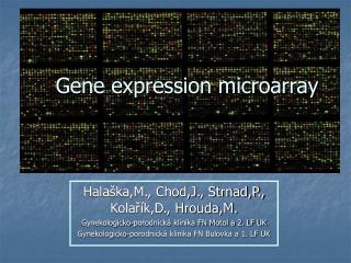 Gene expression microarray