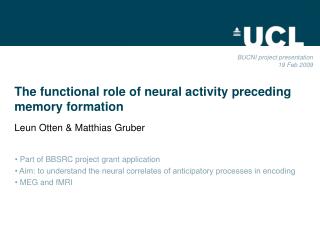 The functional role of neural activity preceding  memory formation