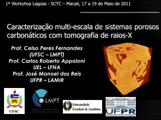 Caracterização multi-escala de sistemas porosos carbonáticos com tomografia de raios-X