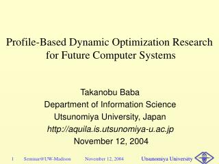 Profile-Based Dynamic Optimization Research for Future Computer Systems