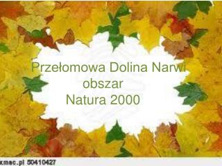 Przełomowa Dolina Narwi obszar Natura 2000