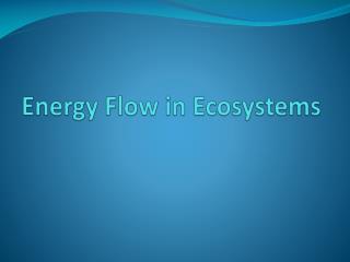 Energy Flow in Ecosystems