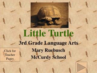 Little Turtle