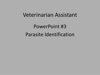 Veterinarian Assistant