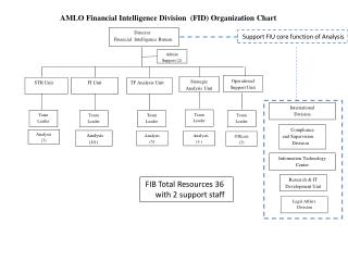 Director Financial Intelligence Bureau