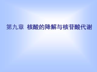 第九章 核酸的降解与核苷酸代谢