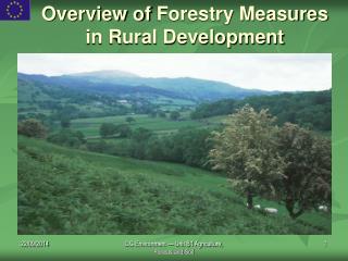 Overview of Forestry Measures in Rural Development