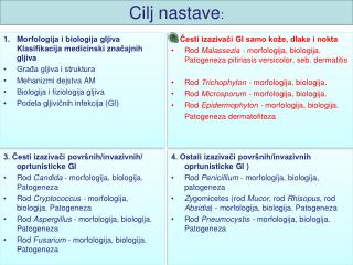 Cilj nastave :