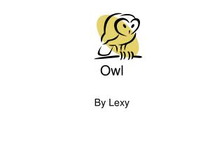 Owl