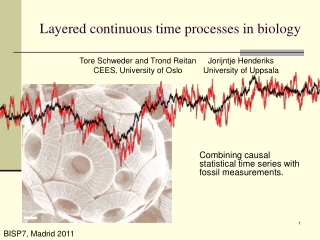 Layered continuous time processes in biology