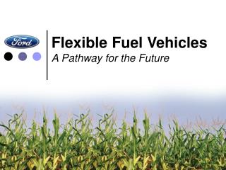 Flexible Fuel Vehicles A Pathway for the Future