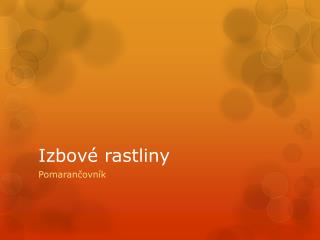 Izbové rastliny