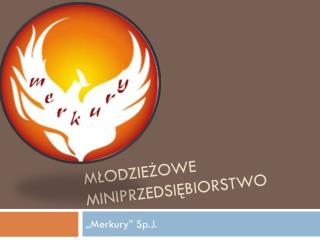 Młodzieżowe miniprzedsiębiorstwo