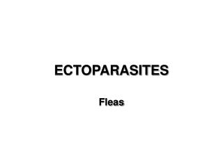 ECTOPARASITES