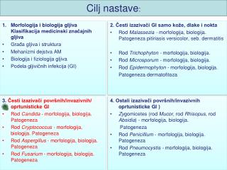 Cilj nastave :