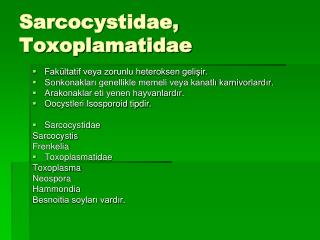 Sarcocystidae, Toxoplamatidae