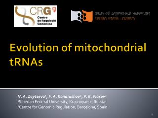 Evolution of mitochondrial tRNAs