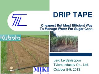 DRIP TAPE Cheapest But Most Efficient Way To Manage Water For Sugar Cane