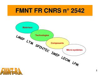 FMNT FR CNRS n° 2542